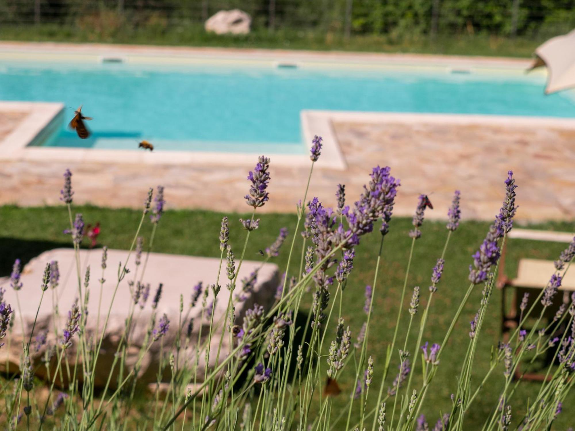 Lacelletta Country House Urbino Zewnętrze zdjęcie